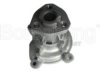 VW 03C121005P Water Pump